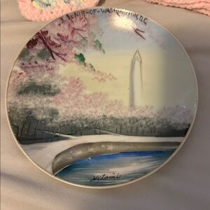 Washington D.C. Souvenir Plate - Multicolor